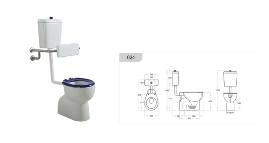 Accessible Back-to-Wall Toilet Suite with Integrated Support Rails